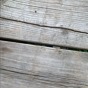 Meet your Posher, Dani